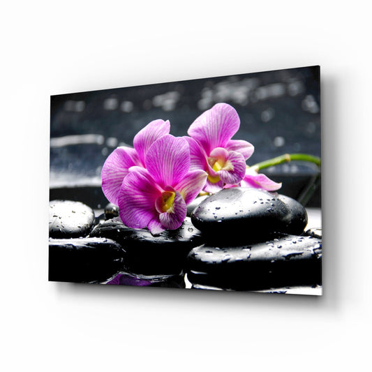 Magenta Orchid Pair Black Stones Glass Wall Art