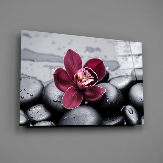 Burgundy Orchid Gray Pebbles Glass Wall Art