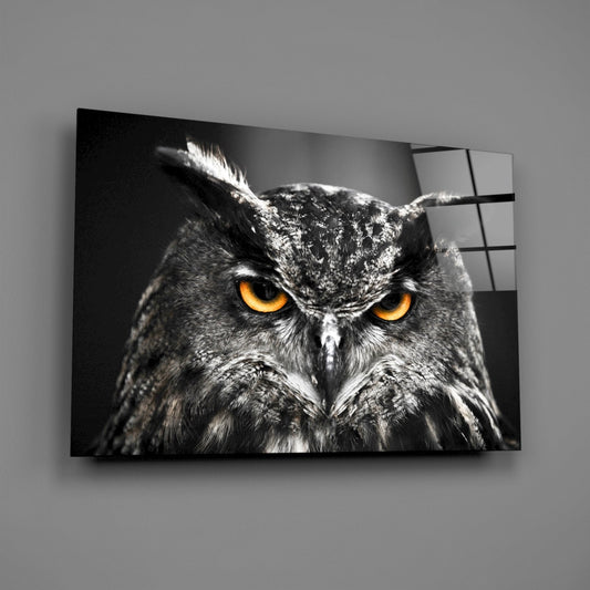 Horned Owl Orange Eyes Glass Wall Art