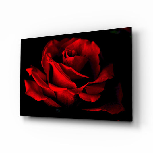 Dark Velvet Red Rose Petals Glass Wall Art