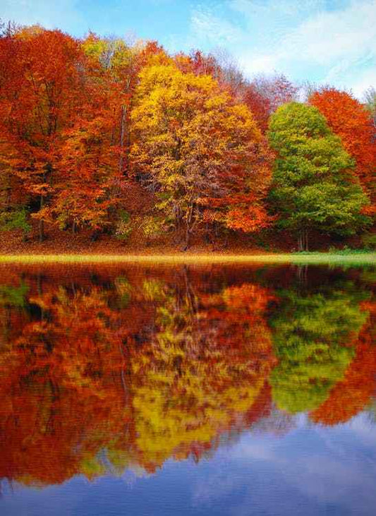 Perfect Autumn (BBW type) - Premium Fragrance Oil
