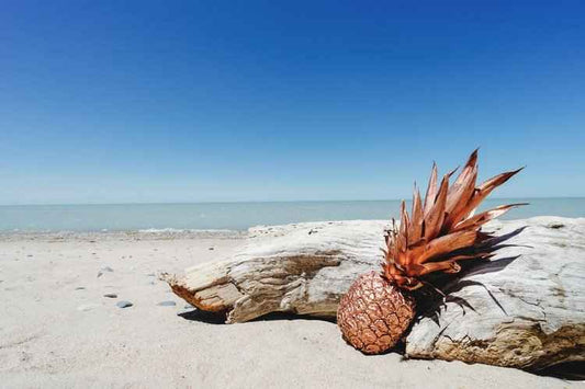 Pineapple Driftwood - Premium Fragrance Oil