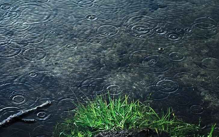 Rain - Premium Fragrance Oil