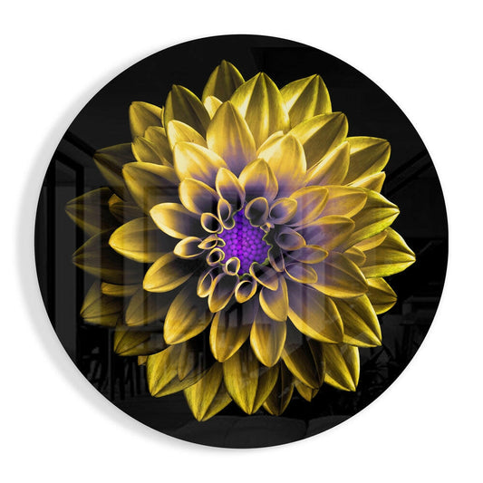 Yellow Dahlia Purple Center Glass Wall Art