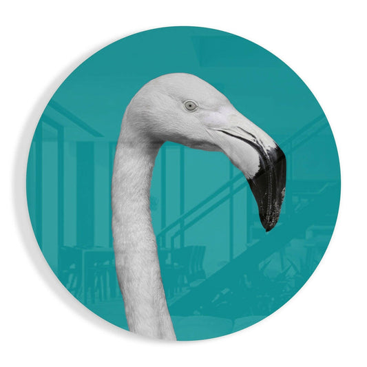 White Flamingo Teal Circle Glass Wall Art
