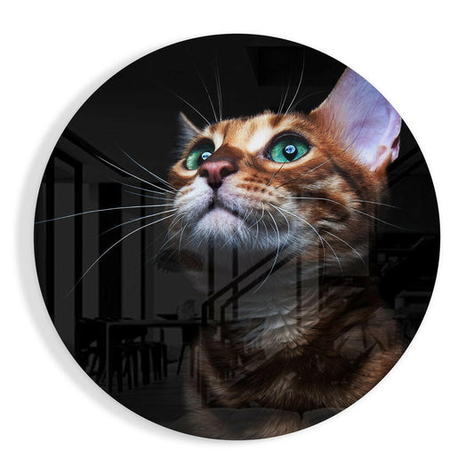 Green Eyed Bengal Cat Round Glass Wall Art