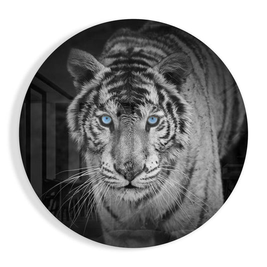 Ice Blue Eyed Tiger Glass Wall Art