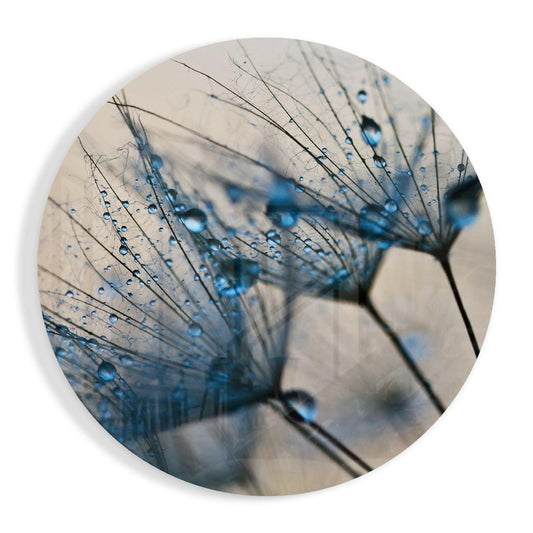 Blue Dewdrops Dandelion Macro Glass Wall Art