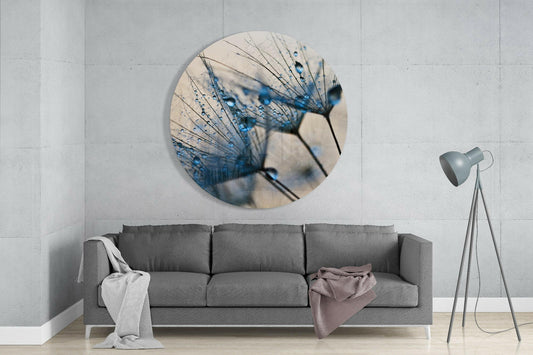 Blue Dewdrops Dandelion Macro Glass Wall Art