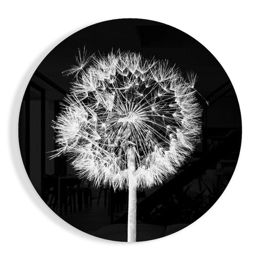 Backlit Dandelion Round Black Glass Wall Art