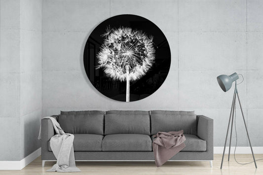Backlit Dandelion Round Black Glass Wall Art