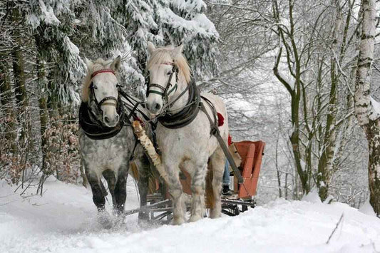 Sleigh Ride - Christmas and Holiday Candle Fragrance  (Pre-Order : Expected Ship Date 8-6)