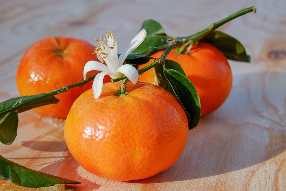 Tangerine Sunshine  (Discontinued - Last Chance)