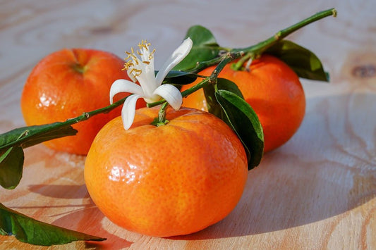 Tangerine Sunshine  (Discontinued - Last Chance)