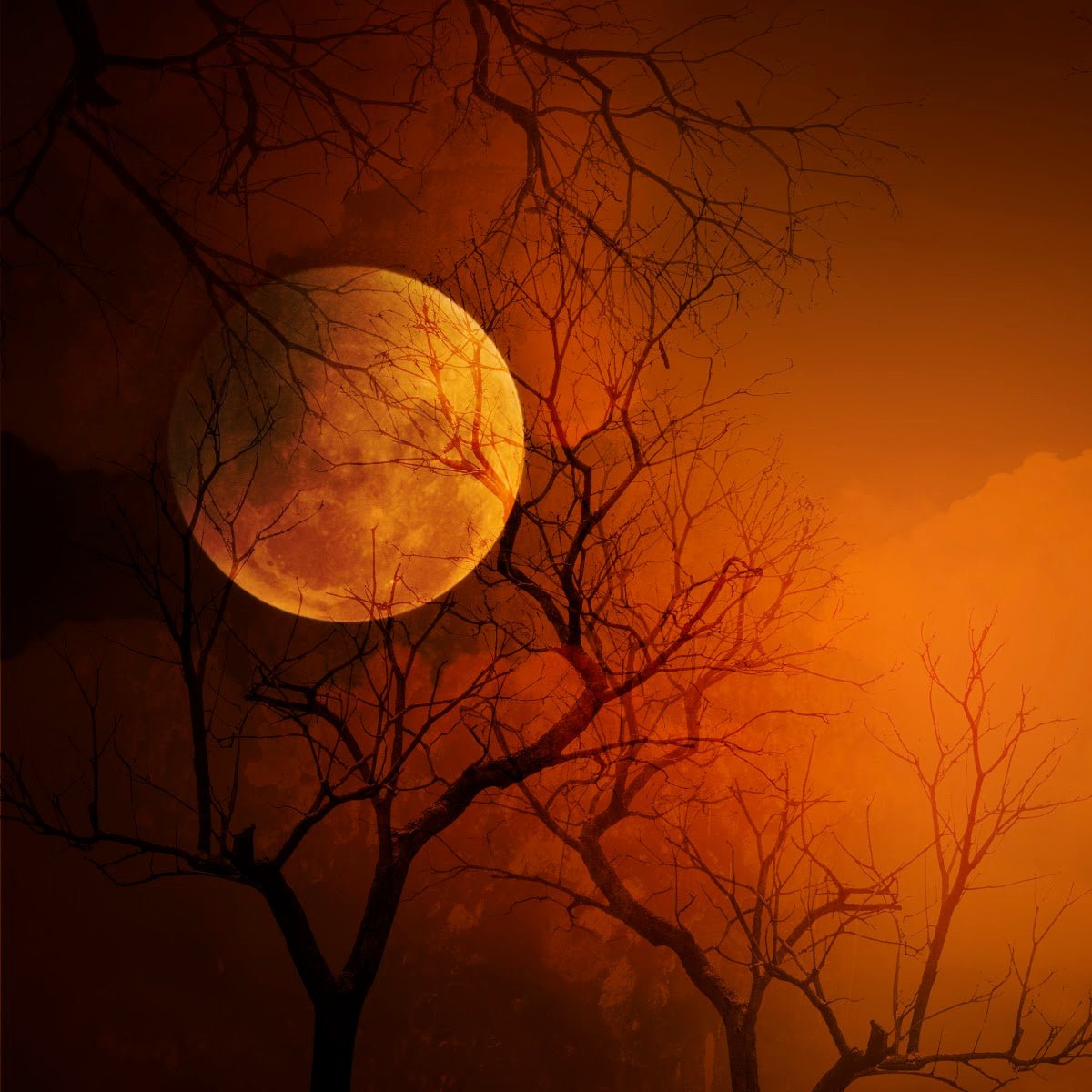 Vampire Blood (BBW type) -  (Pre-Order : Expected Ship Date 8-6)