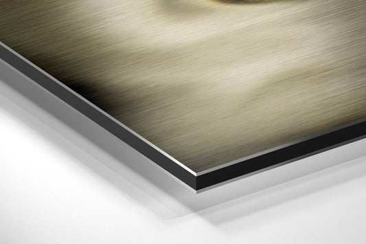 Abstract Brushed Aluminum Dibond Wall Art