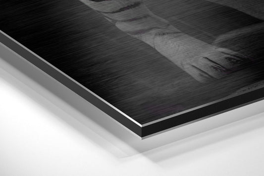 Anger of Tiger Brushed Aluminum Dibond Wall Art