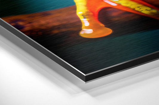 Froglet Brushed Aluminum Dibond Wall Art
