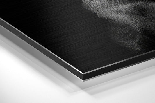 Black Doberman With Gold Pistol Brushed Aluminum Dibond Wall Art