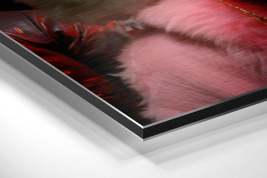 Sheeps' Life Brushed Aluminum Dibond Wall Art