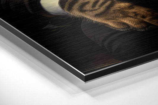 Tabby Cat in Suit Gold Tie Brushed Aluminum Dibond Wall Art