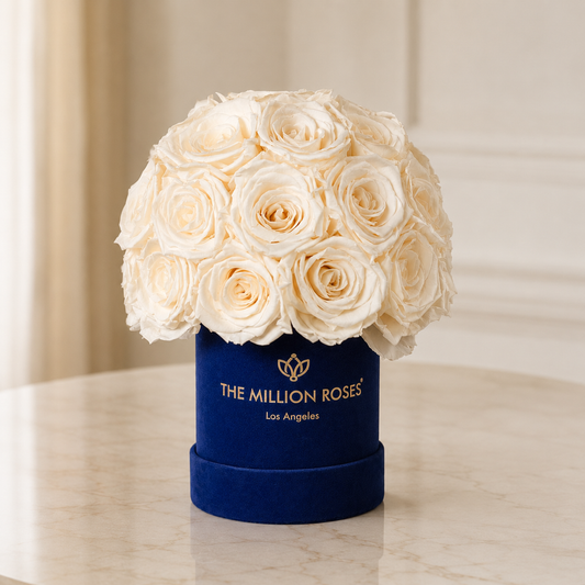 Essence Royal Blue Suede Superdome Box | White Roses