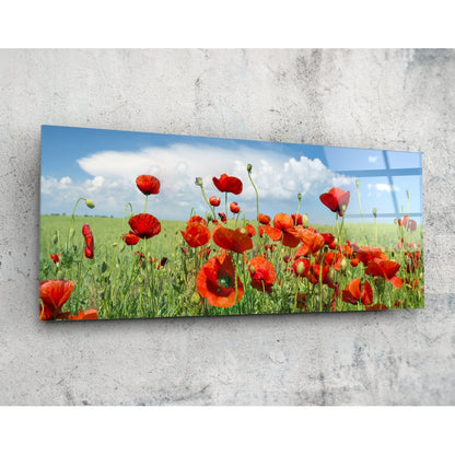 Poppy Flower Glass Wall Art (36"x14")