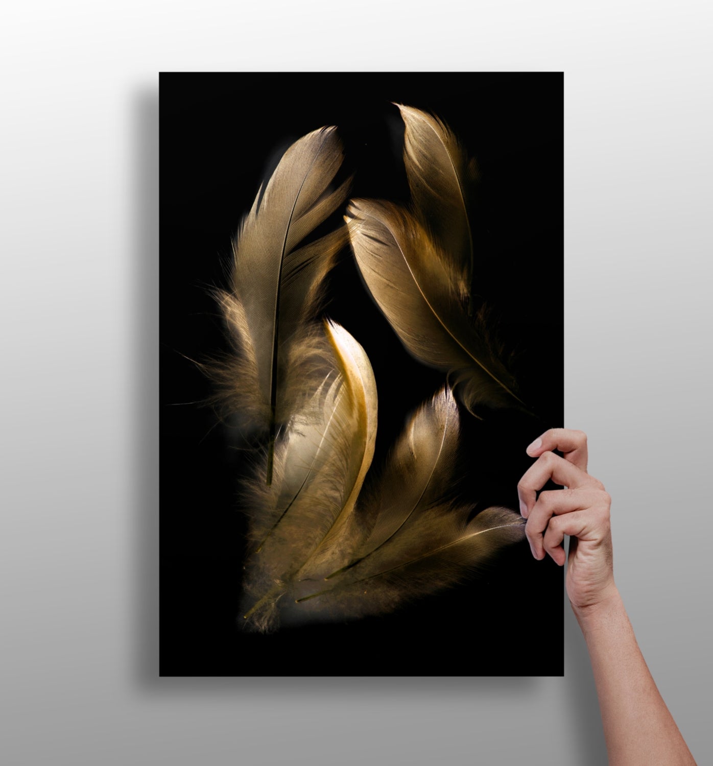 Golden Feather Cluster On Black Aluminum Print