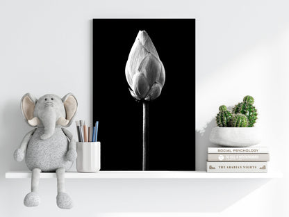 Black and White Lotus Bud Close Up Aluminum Print