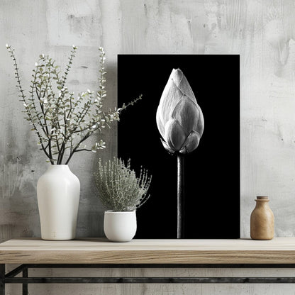 Black and White Lotus Bud Close Up Aluminum Print
