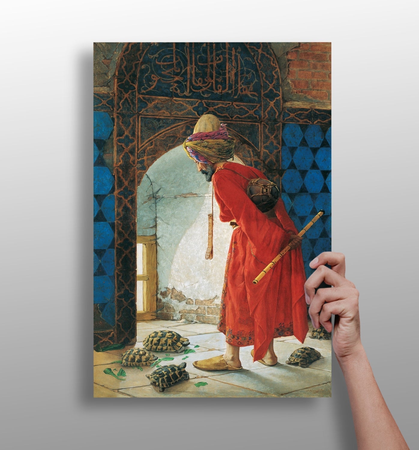 Red Robe Tortoise Trainer Classic Aluminum Print