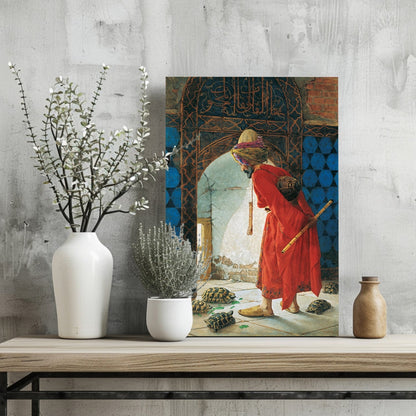 Red Robe Tortoise Trainer Classic Aluminum Print