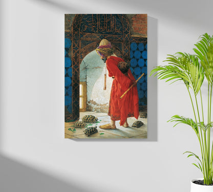 Red Robe Tortoise Trainer Classic Aluminum Print