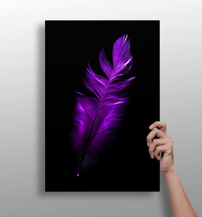 Vivid Violet Feather On Black Backdrop Aluminum Print