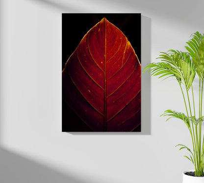 Red Leaf Aluminum Print