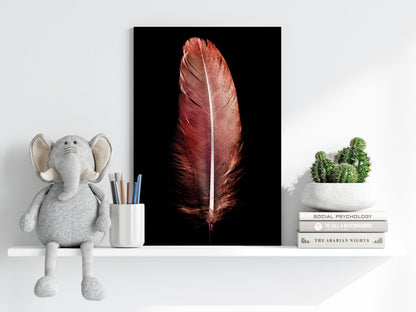 Red Feather Aluminum Print