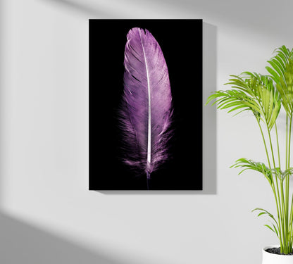 Soft Lilac Purple Feather On Black Aluminum Print