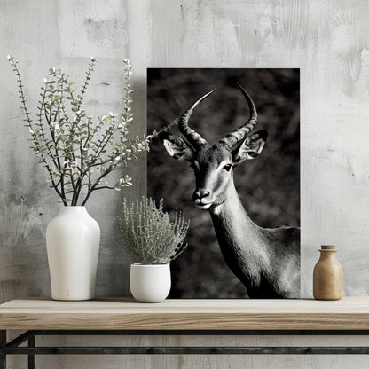 Black And White Impala Antelope Aluminum Print