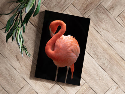 Coral Flamingo Curved Neck Aluminum Print