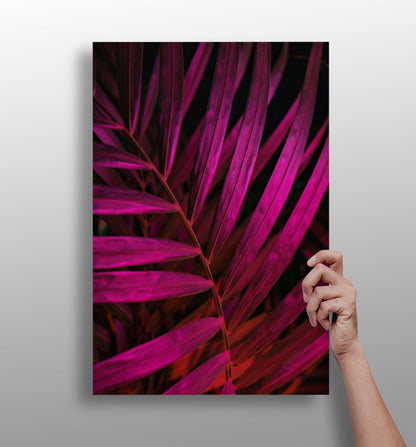 Fuschia Leaf Aluminum Print