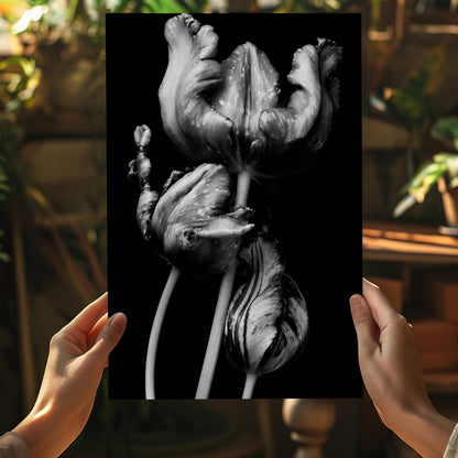 Silver Parrot Tulips Noir Aluminum Print