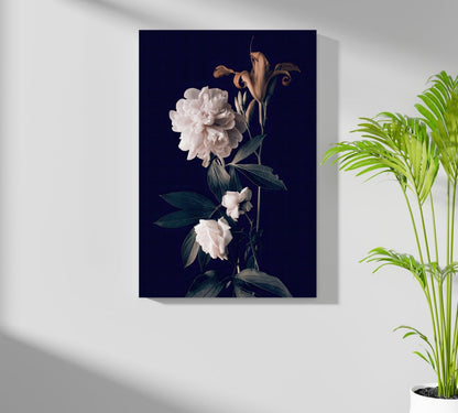White Peony Navy Backdrop Aluminum Print