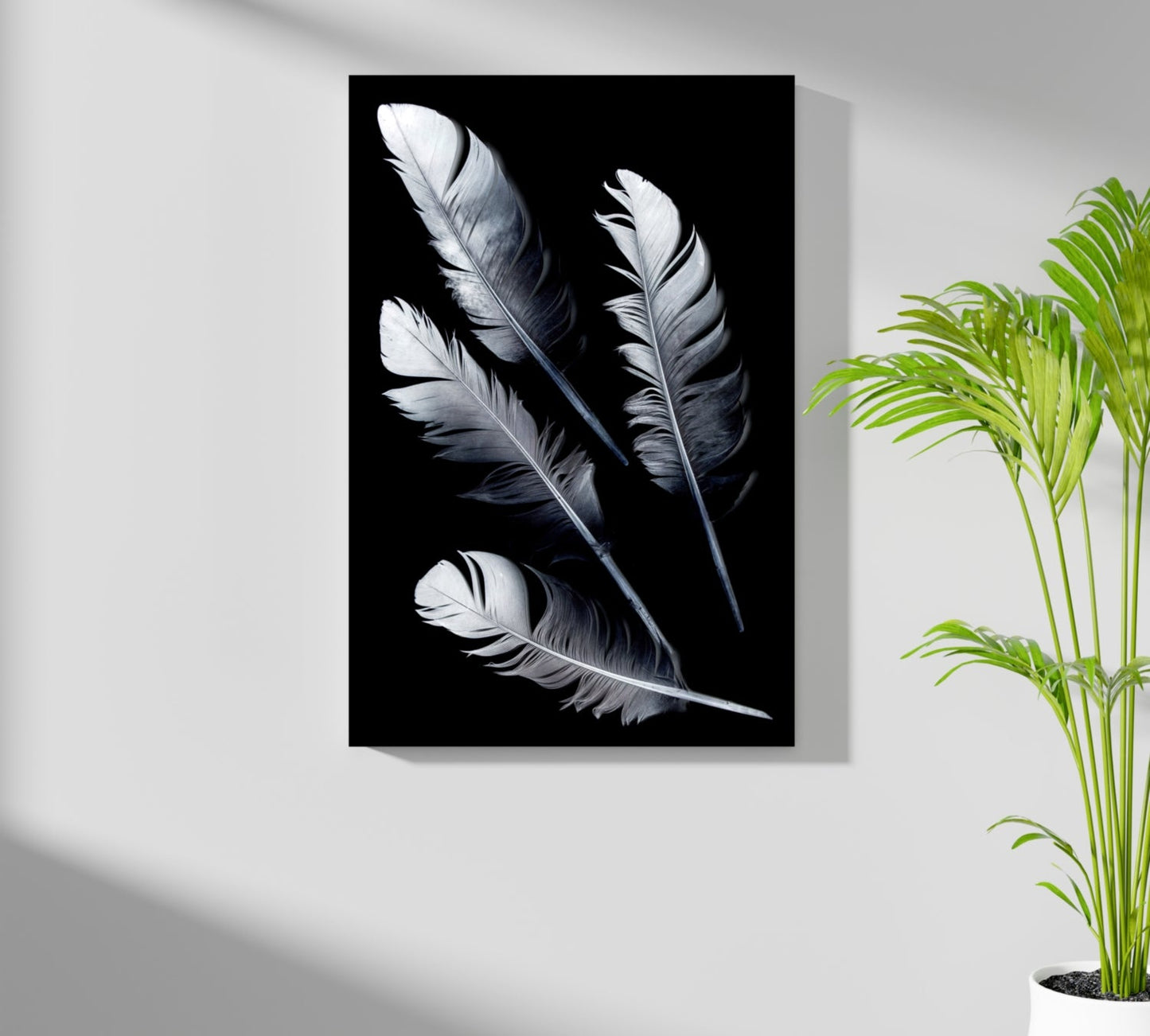 Four Silver Quill Feathers Black Aluminum Print