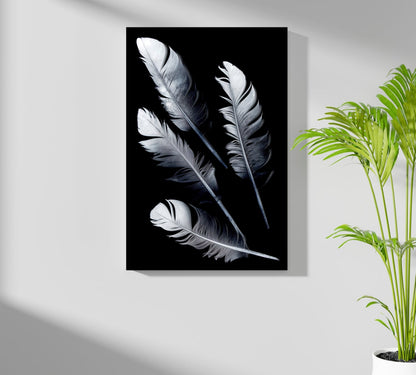 Four Silver Quill Feathers Black Aluminum Print