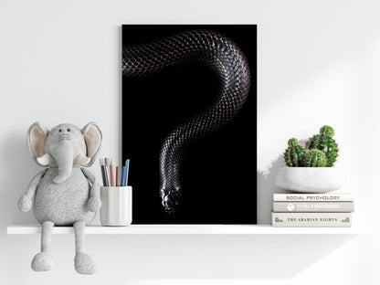 Black Snake Aluminum Print