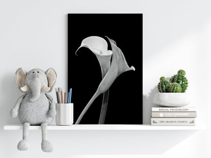 Lilly Flower Aluminum Print