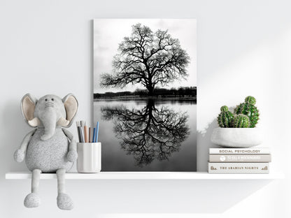 Alone Tree Aluminum Print