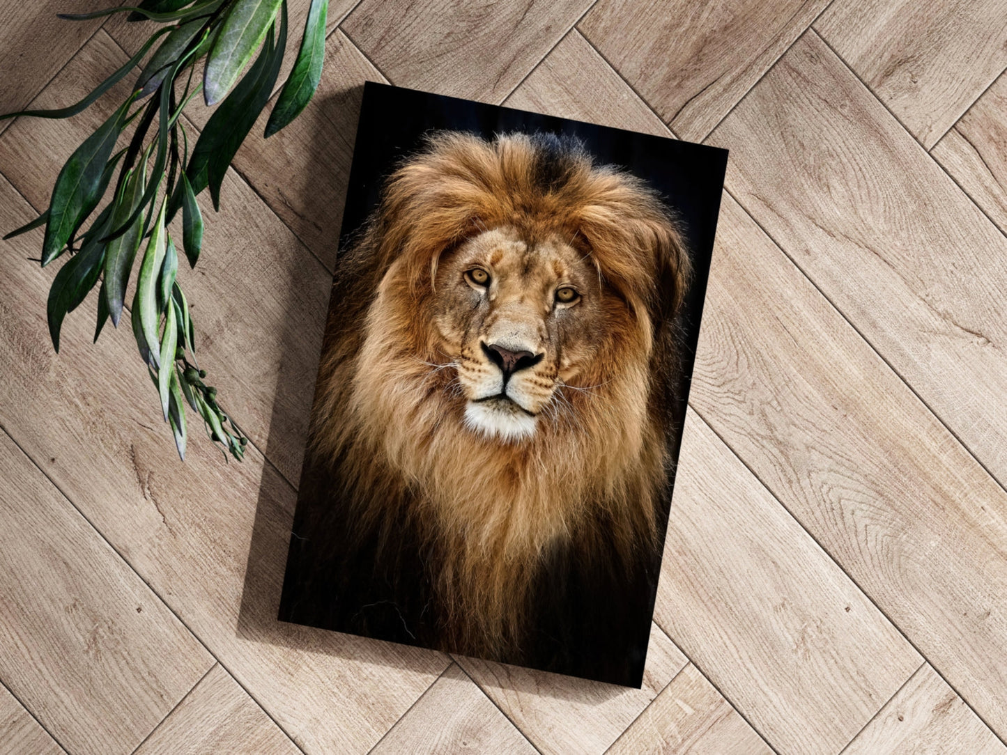 Majestic Golden Lion Portrait Aluminum Print