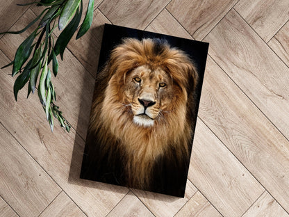 Majestic Golden Lion Portrait Aluminum Print