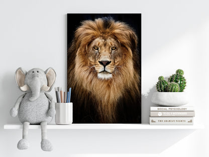 Majestic Golden Lion Portrait Aluminum Print